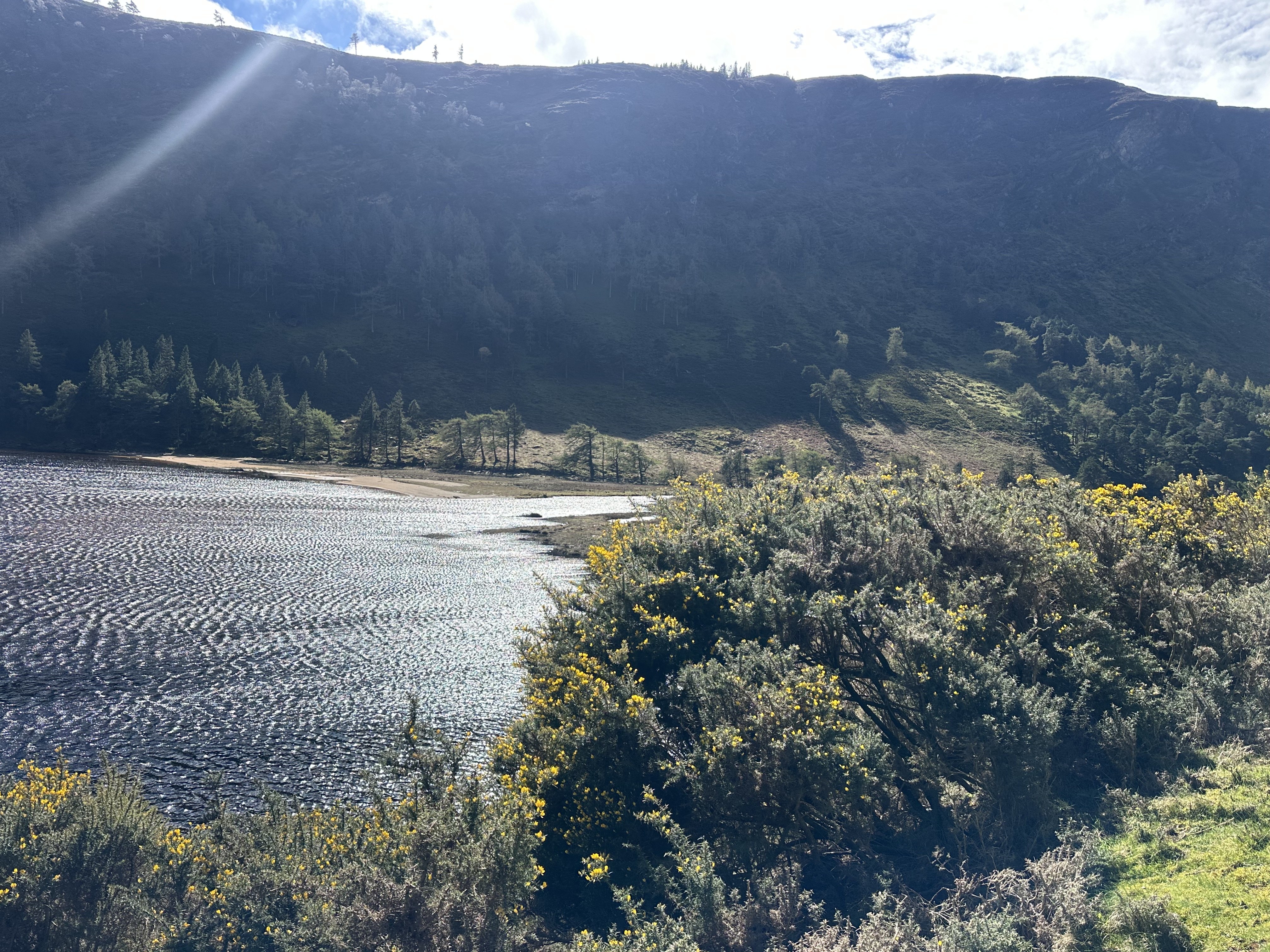 Guided Breathwork Reset